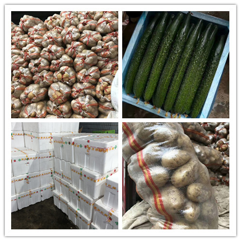 赏金船主·PG(中国游)官方网站