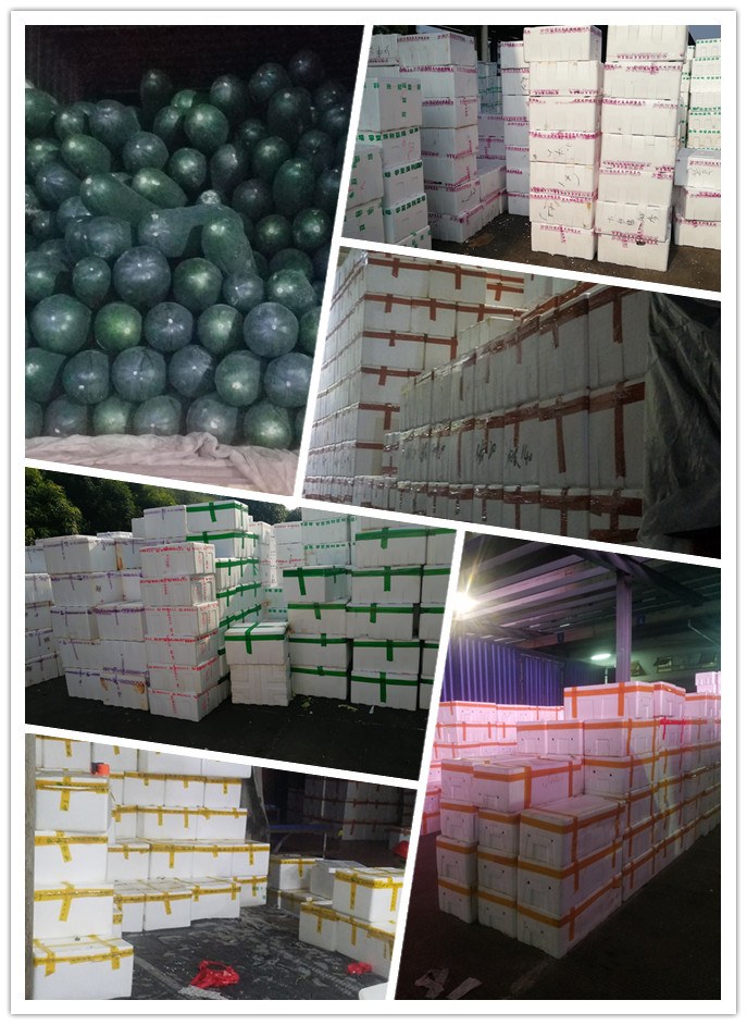 赏金船主·PG(中国游)官方网站