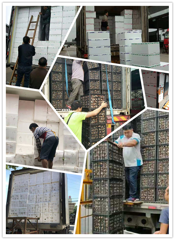 赏金船主·PG(中国游)官方网站