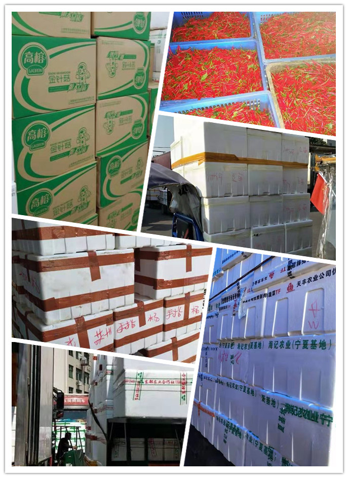 赏金船主·PG(中国游)官方网站