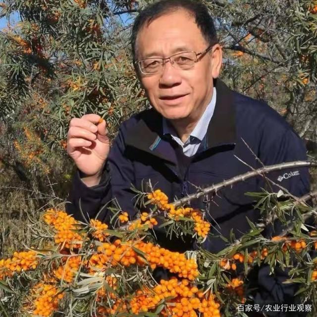 赏金船主·PG(中国游)官方网站