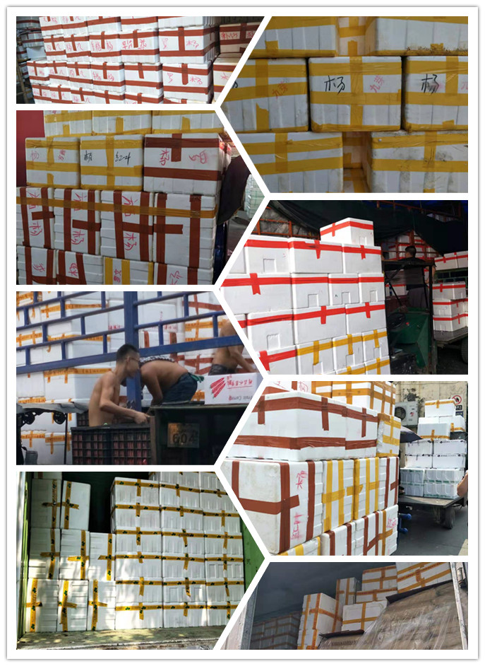 赏金船主·PG(中国游)官方网站