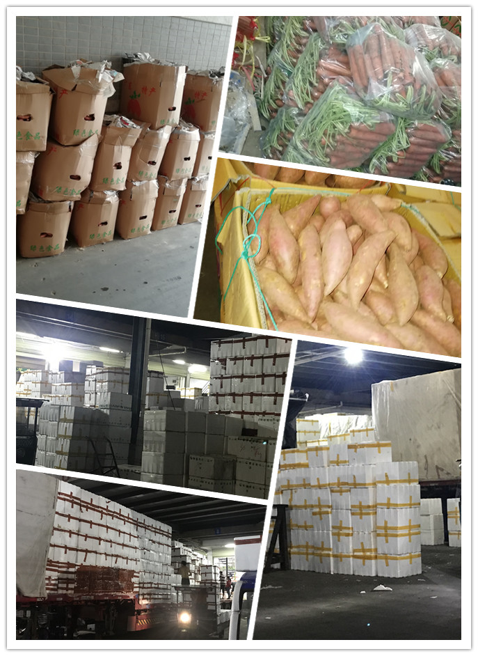 赏金船主·PG(中国游)官方网站