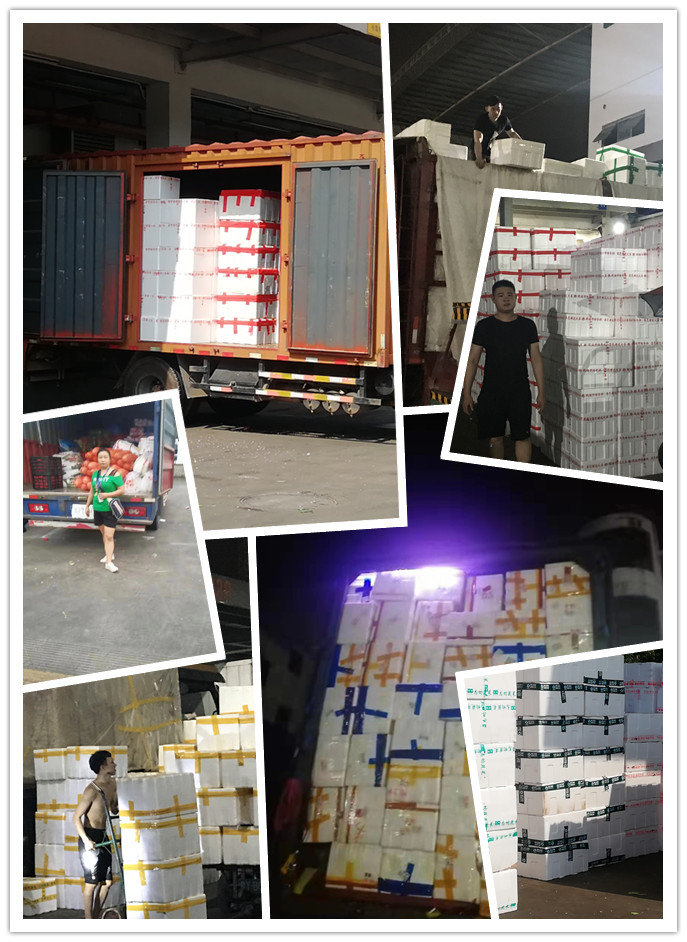 赏金船主·PG(中国游)官方网站