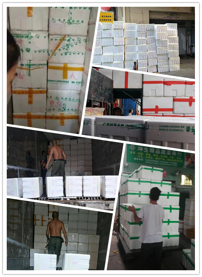 赏金船主·PG(中国游)官方网站