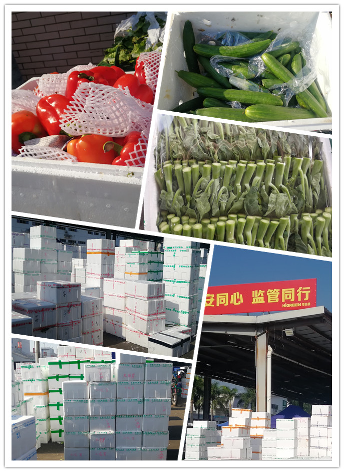 赏金船主·PG(中国游)官方网站