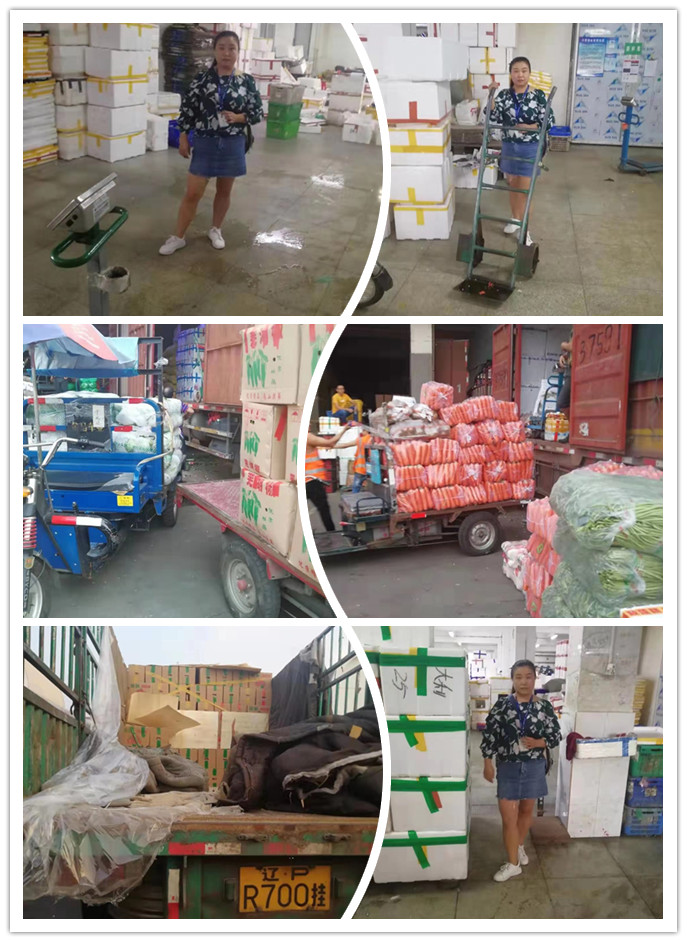 赏金船主·PG(中国游)官方网站