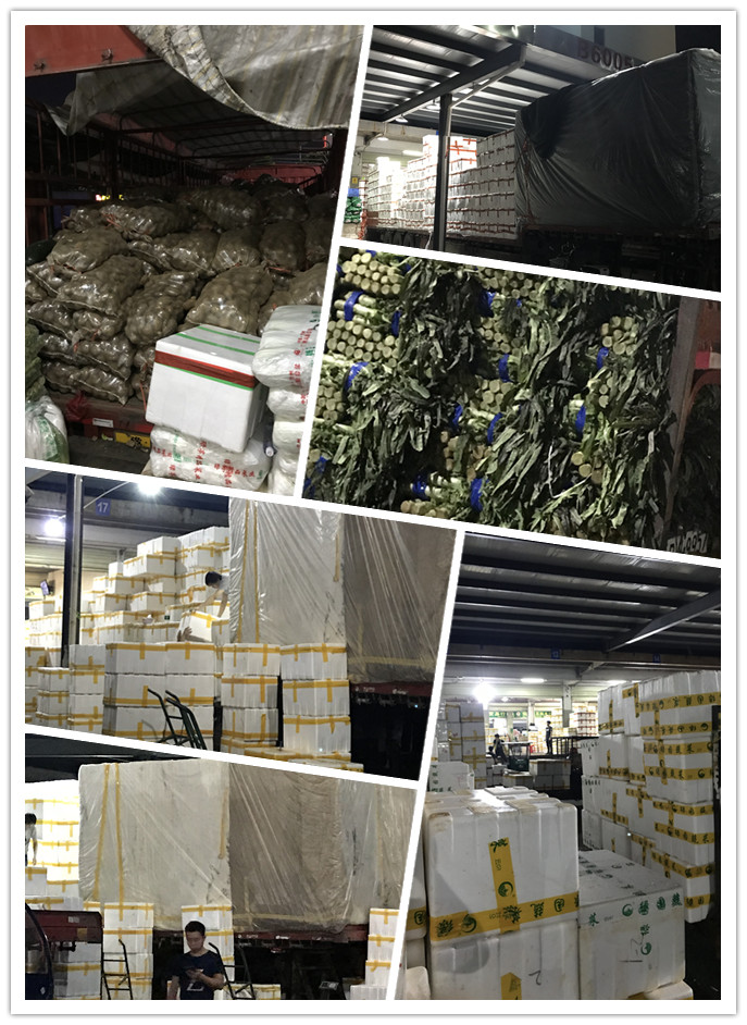 赏金船主·PG(中国游)官方网站