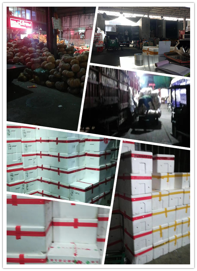 赏金船主·PG(中国游)官方网站