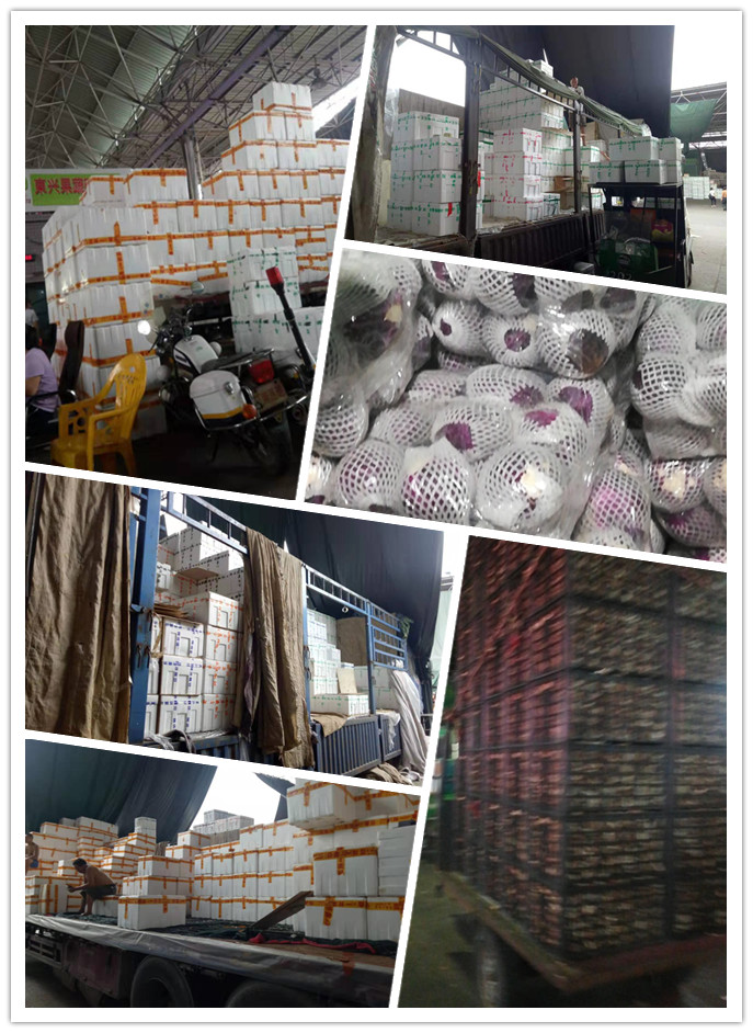 赏金船主·PG(中国游)官方网站