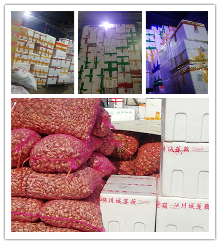 赏金船主·PG(中国游)官方网站