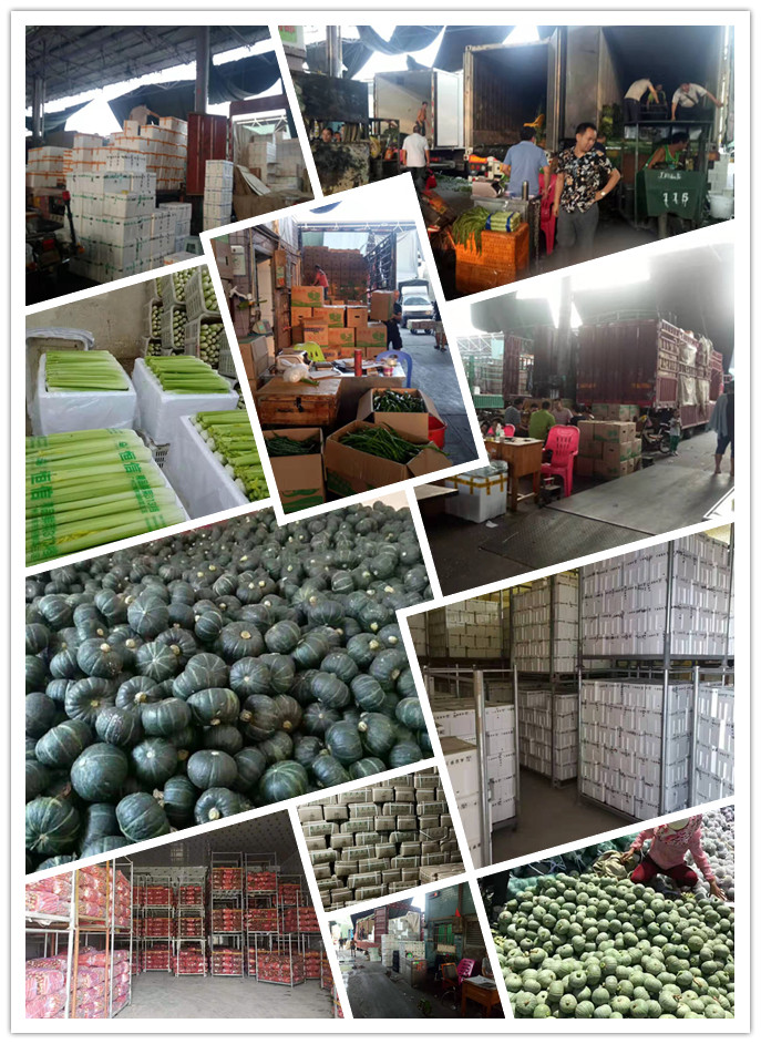 赏金船主·PG(中国游)官方网站