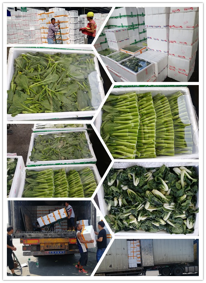 赏金船主·PG(中国游)官方网站