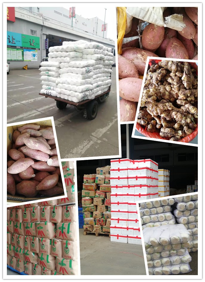 赏金船主·PG(中国游)官方网站