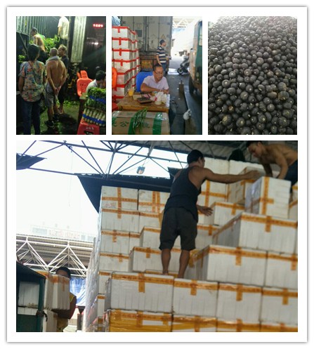 赏金船主·PG(中国游)官方网站