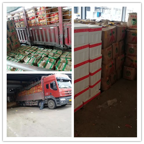 赏金船主·PG(中国游)官方网站