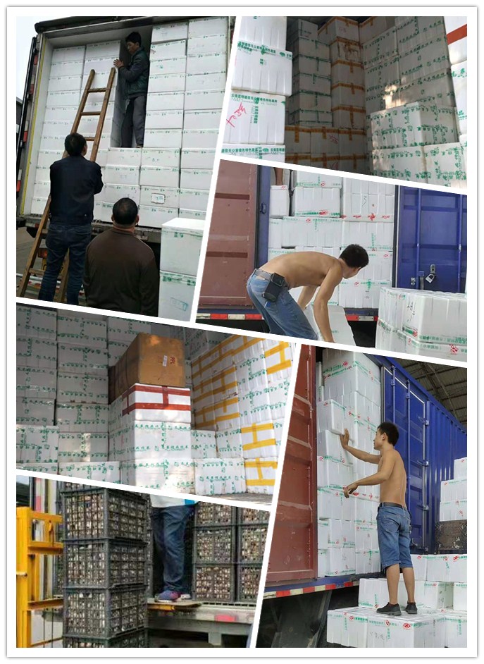 赏金船主·PG(中国游)官方网站