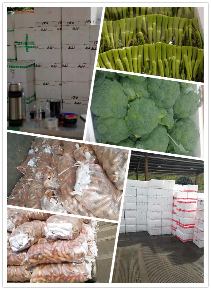 赏金船主·PG(中国游)官方网站