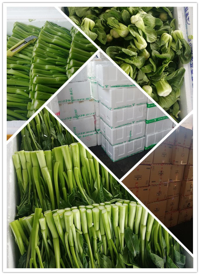 赏金船主·PG(中国游)官方网站