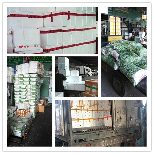 赏金船主·PG(中国游)官方网站