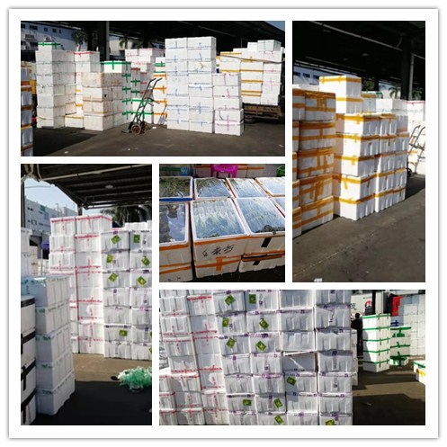 赏金船主·PG(中国游)官方网站