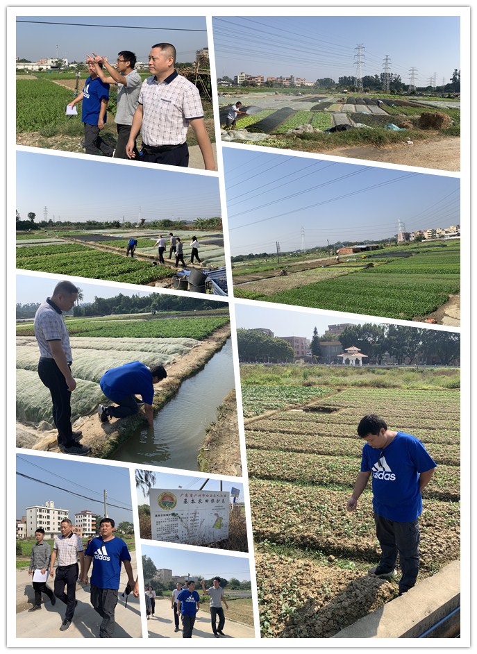 赏金船主·PG(中国游)官方网站