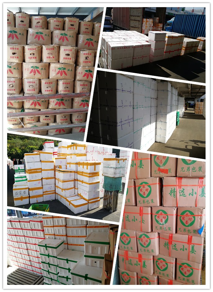 赏金船主·PG(中国游)官方网站