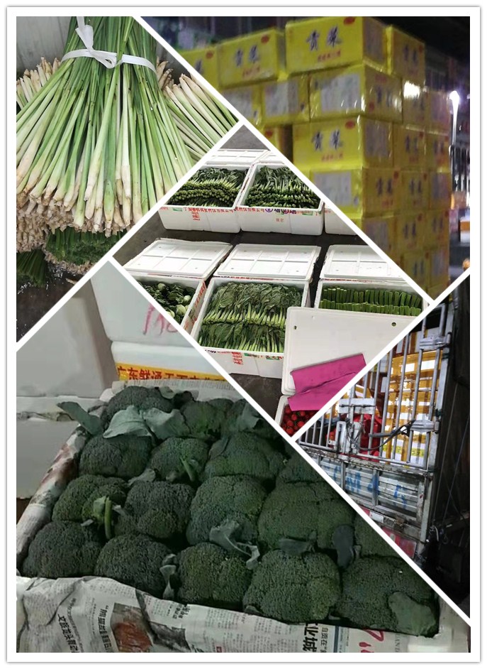 赏金船主·PG(中国游)官方网站