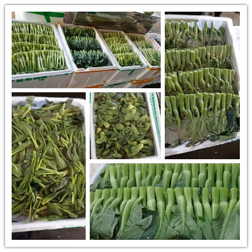 赏金船主·PG(中国游)官方网站