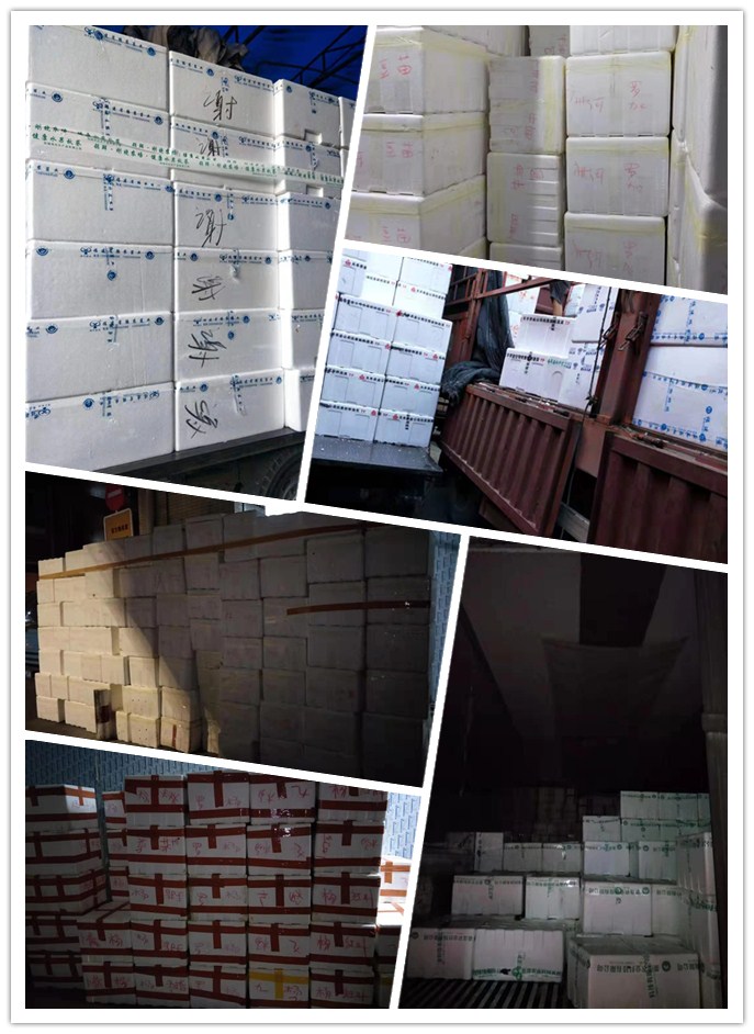 赏金船主·PG(中国游)官方网站