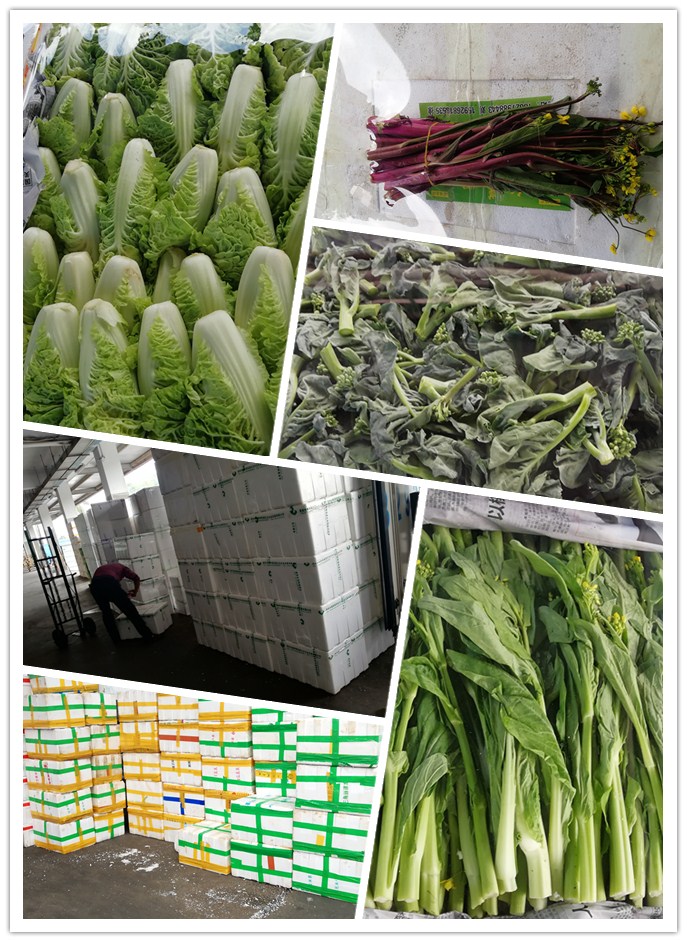 赏金船主·PG(中国游)官方网站