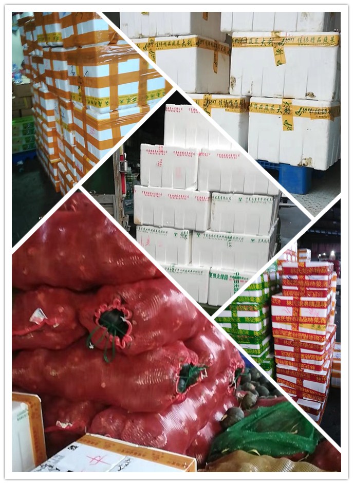 赏金船主·PG(中国游)官方网站