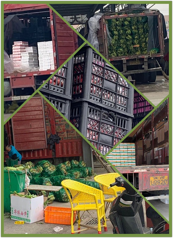 赏金船主·PG(中国游)官方网站