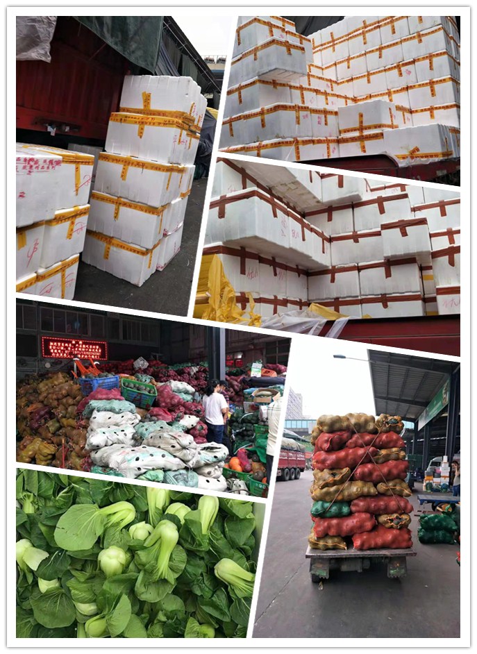 赏金船主·PG(中国游)官方网站