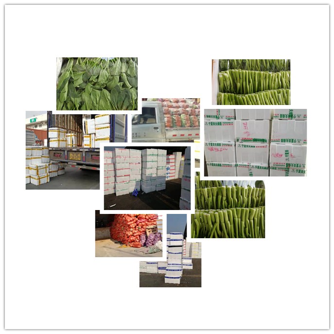 赏金船主·PG(中国游)官方网站