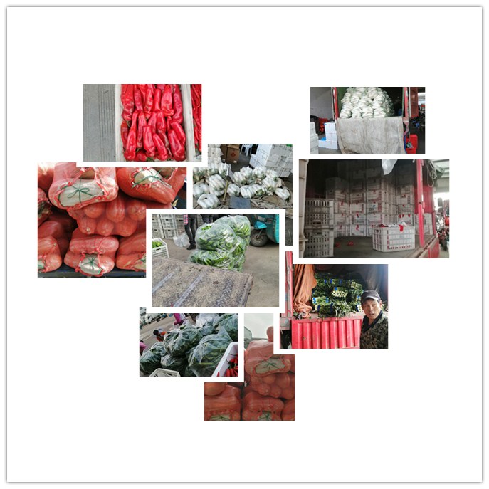 赏金船主·PG(中国游)官方网站