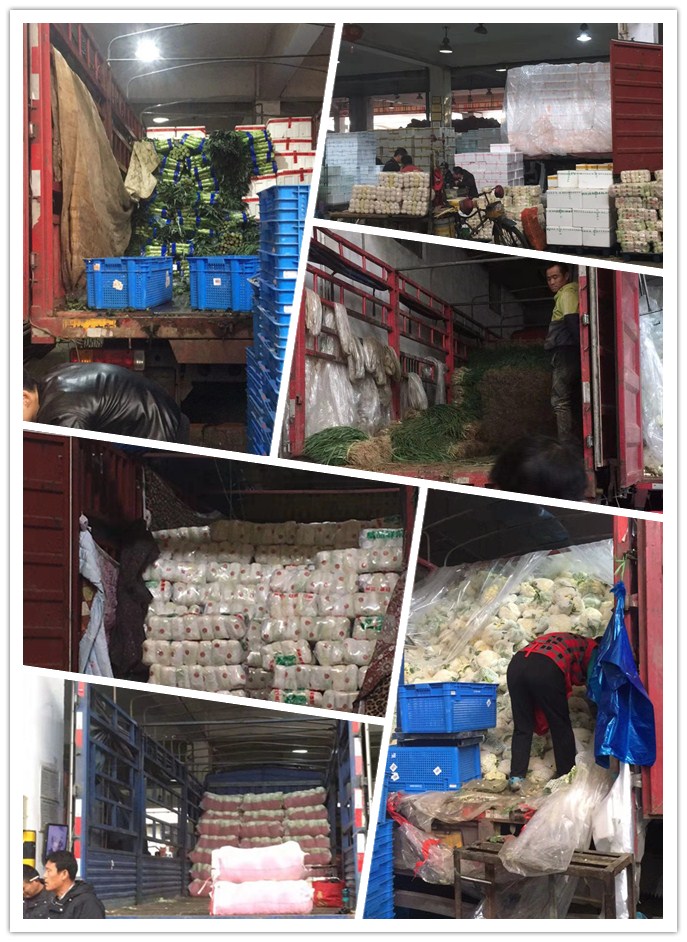 赏金船主·PG(中国游)官方网站