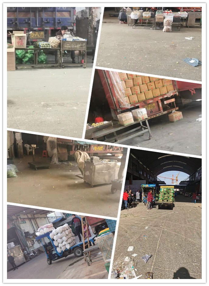 赏金船主·PG(中国游)官方网站