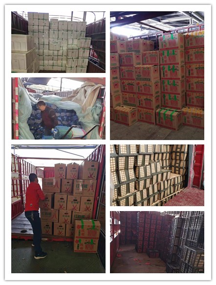 赏金船主·PG(中国游)官方网站