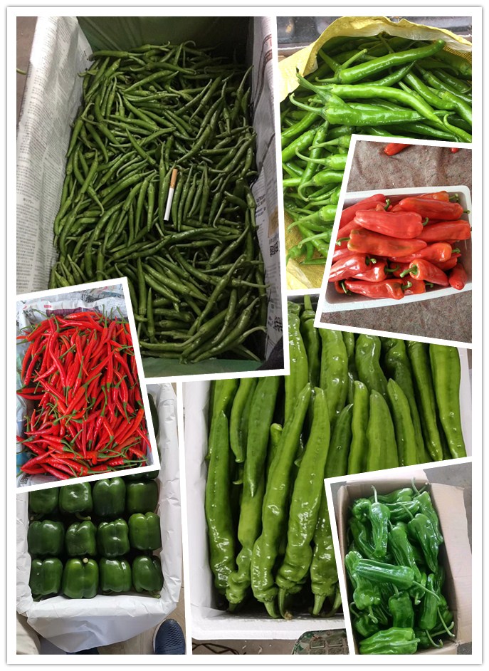 赏金船主·PG(中国游)官方网站