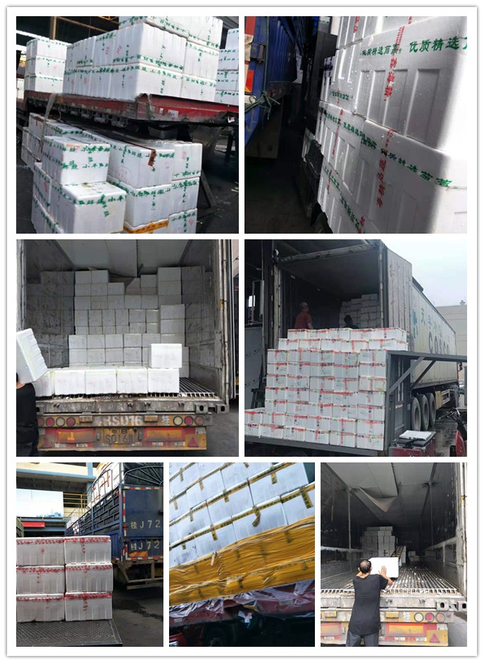 赏金船主·PG(中国游)官方网站