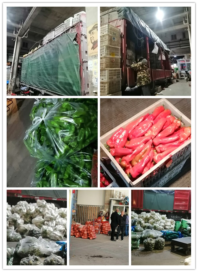 赏金船主·PG(中国游)官方网站