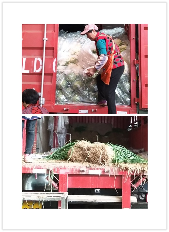 赏金船主·PG(中国游)官方网站