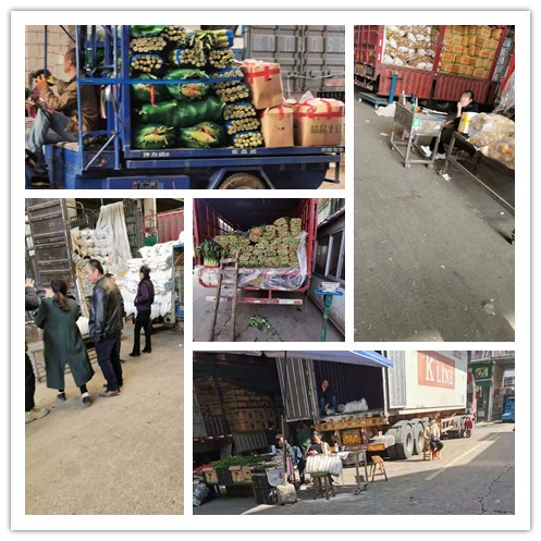 赏金船主·PG(中国游)官方网站