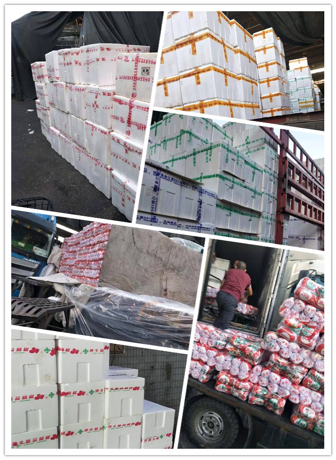 赏金船主·PG(中国游)官方网站