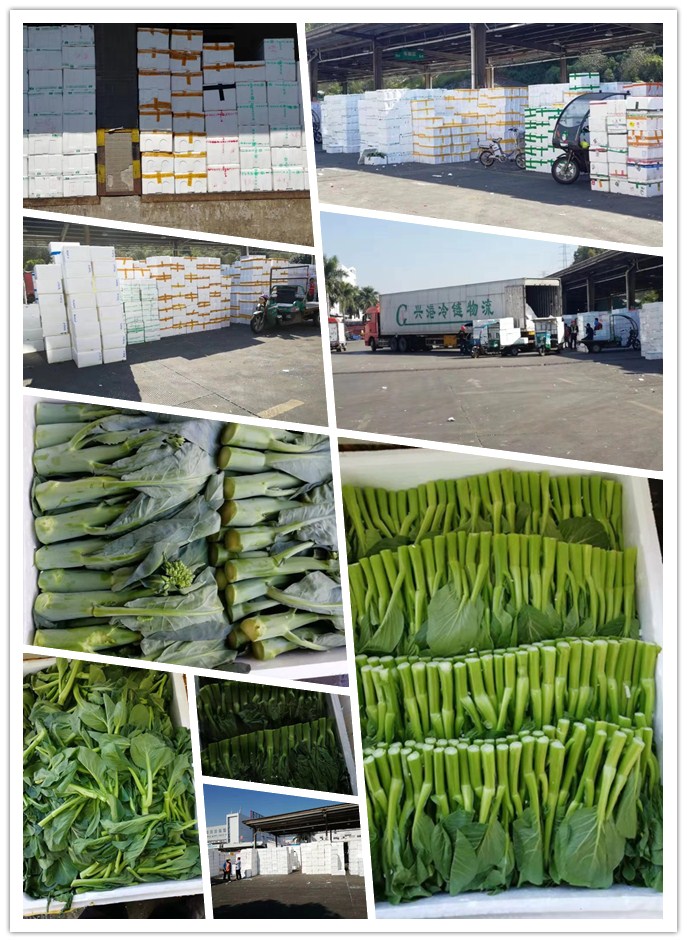 赏金船主·PG(中国游)官方网站