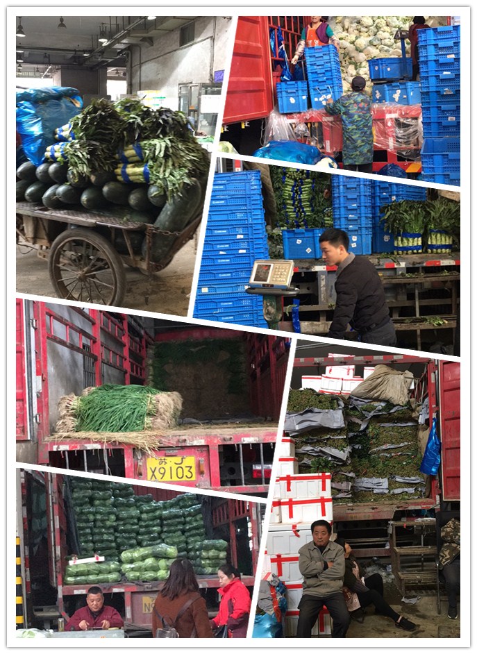 赏金船主·PG(中国游)官方网站