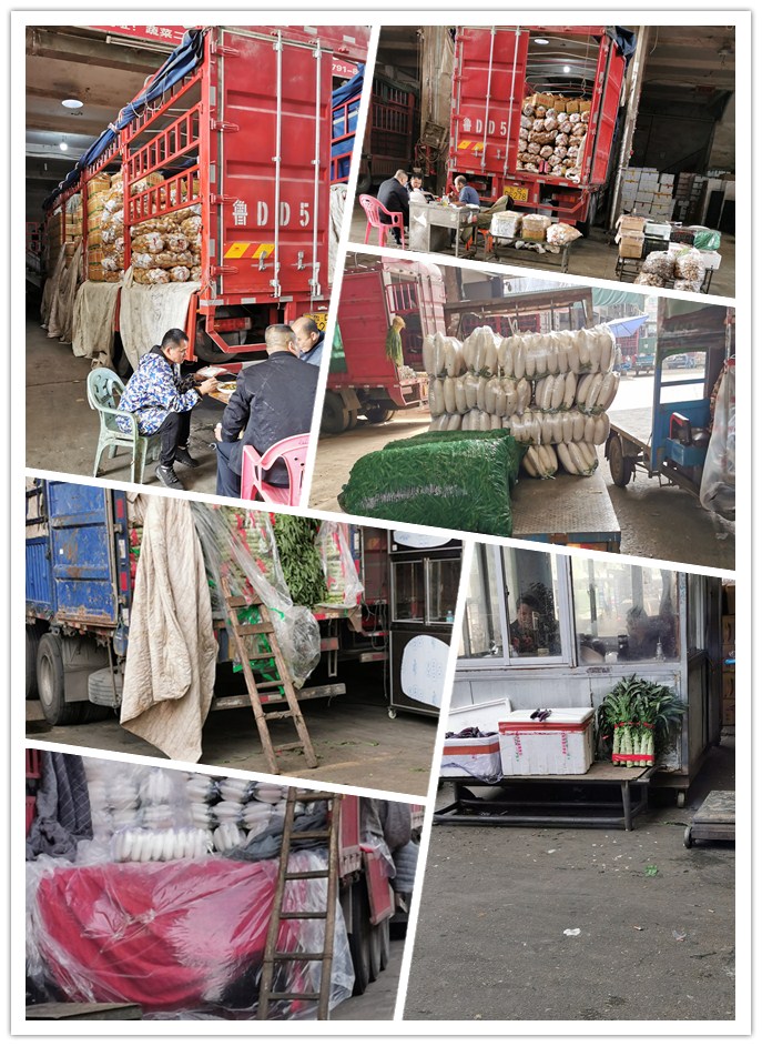 赏金船主·PG(中国游)官方网站