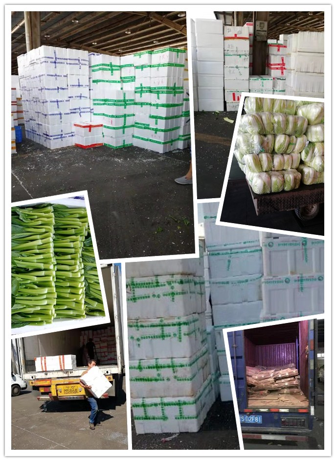 赏金船主·PG(中国游)官方网站