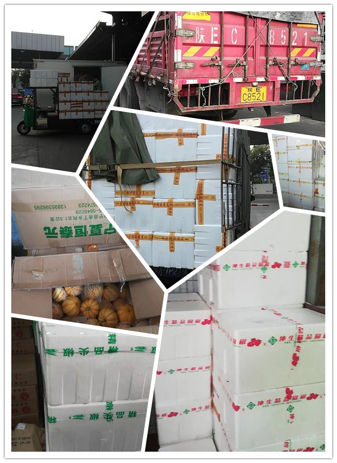 赏金船主·PG(中国游)官方网站